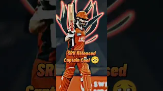 Downfall Of SRH  | #ipl #cricket #ipl2023