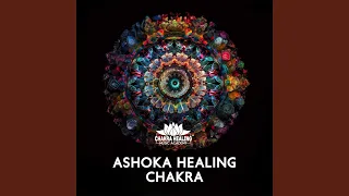 The Ashoka Chakra