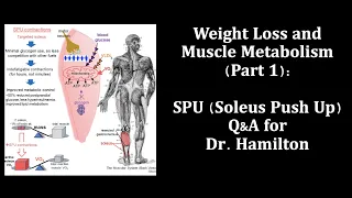 SPU (Soleus Push Up) Q&A for Dr. Hamilton: Weight Loss vs Raising Metabolism (Part 1 for Glucose)