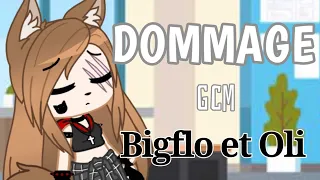 DOMMAGE - Bigflo et Oli GCM