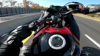 gsxs1000f vs ducati monster