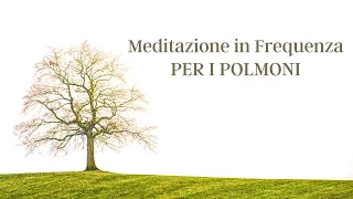 MEDITAZIONE | Meditazione Guidata per Rigenerare i Polmoni | Equilibrium Yoga