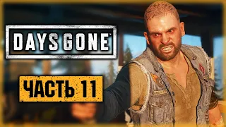 DAYS GONE #11 ☣️ - БУХАРЮ СТАЛО ХУЖЕ! - Лагерь Железного Майка - Жизнь После (2021)