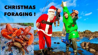 SANTA & TREE go COASTAL FORAGING - Huge Lobsters , Crabs , Epic Beach Cook Up with Rainbow !