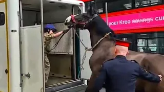 King's HORSES are loaded by troopers and the CoH at the front of Horse Guards!