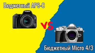 Canon 200D vs Olympus OM-D E-M10 mark III: полевые тесты