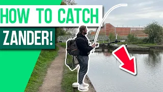 How to Catch Canal ZANDER With Lures!