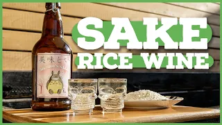 How to Easily Make SAKE (Rice Wine) at Home! 🍶