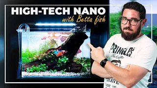 High-Tech NANO Aquarium with BETTA Fish | Step-by-Step Guide and Tips