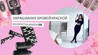 Shik окрашивание бровей краской. Колористика.