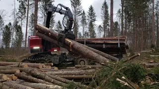 Timber Pro TF 830D Forwarder loading a full bunk in 5 mins