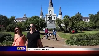 Summer Car Safety Tips for New Orleans Visitors - Local News