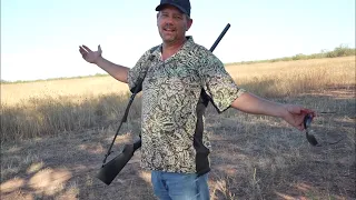 North Texas Dove Hunting | Late September 2023