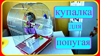 Купалка для попугая//Покупки из зоомагазина//Купалка для птиц