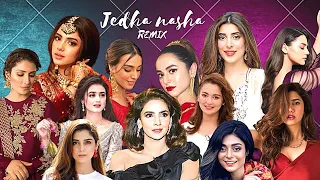 VM of Pakistani Actersses on remix song Jeda Nasha  PART 1