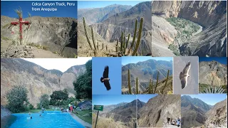 Hiking Colca Canyon  1 km deep in Peru with 3 kids