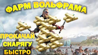 Быстрый Фарм слитков Вольфрама! Гайд по обновлению патруля. Assassin's Creed Valhalla