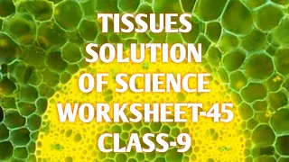 Tissues | SOLUTION OF SCIENCE WORKSHEET-45 | Science class 9