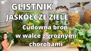 Glistnik Jaskółcze Ziele - fenomenalny na brodawki, kurzajki i cudowna pomoc w groźnych chorobach!