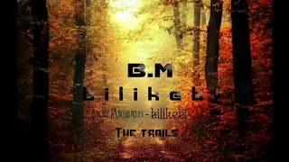 bacho maisuradze - bilikebi / ბაჩო მაისურაძე - ბილიკები (the trails)