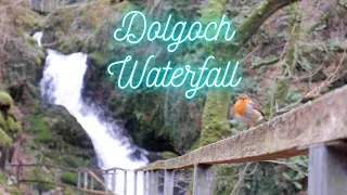 Dolgoch Falls voted best waterfall in North / mid Wales