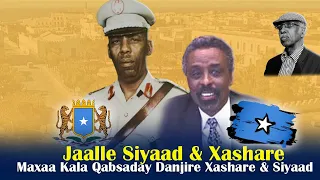 Maxaa kala qabsaday Siyaad & Danjire Xashare? | Qiso layaab leh | Qoraa Siciid Jaamac