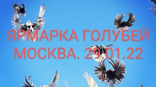 ЯРМАРКА ГОЛУБЕЙ. МОСКВА.29.01.22 часть 1