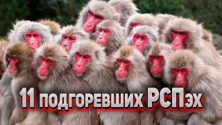 11 РСПэх подорвало от собственности бывших. Четыре квартиры и дорогая тачка не дают покоя бывшей..