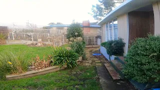 Neglected Garden Gets Yearly Renovation | Overgrown Yard Maintenance