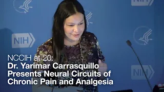 NCCIH at 20: Dr. Yarimar Carrasquillo Presents Neural Circuits of Chronic Pain and Analgesia