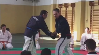 Tecniche di Ju Jitsu eseguite dal Kyoshi Colombini Andrea
