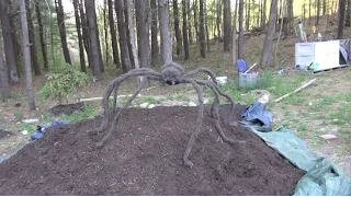 MUTANT GIANT SPIDER ATTACK - CAUGHT ON TAPE