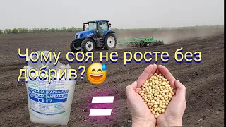 Соя 2024🌱🇺🇦Елементи вирощування❗️❗️❗️ Чому соя не росте без добрив😥