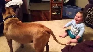 Baby laughing at dog & bubbles