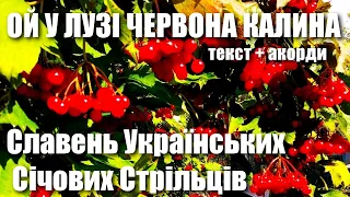 🎼 Ой у лузі червона калина 🎹 Текст та акорди 👇 Співають українці в метро під час ракетного обстрілу