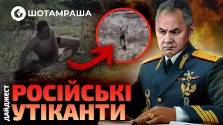 Окупанти ТІКАЮТЬ З ПОЛЯ БОЮ! 10 ТИСЯЧ росіян ХОВАЮТЬСЯ по КУЩАХ? | Шотамраша