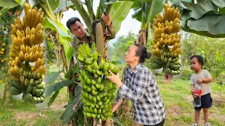 My husband and I harvest bananas to sell. Enjoy a fun family meal with banana soup