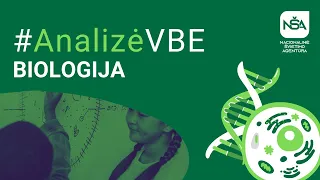 #AnalizėVBE | Biologija