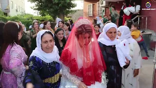 Şırnak Silopi Düğünleri Bahattin Yalvaç Düğünü Part 5 Yalvaç Ailesinin Görkemli Düğünü