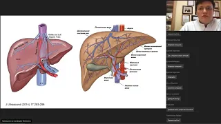 Пороки развития сосудов печени - Разумовский А.Ю.
