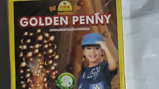 #diwali #crackers #patake | Cock Brand Golden Penny Anar Testing | Diwali Stash 2021