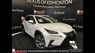 White 2019 Lexus NX 300 Luxury Package Review - Northeast Edmonton, AB