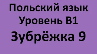 Зубрёжка Польский язык Уровень В1 Урок 9 Польский разговорный Польские диалоги и тексты с переводом