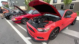 Woodward Dream Cruise 2022, Mustang Alley #ford #mustang #carshow #musclecar #dreamcruise