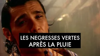 Les Négresses Vertes - Après La Pluie (Clip Officiel)