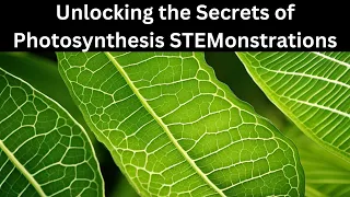 Unlocking the Secrets of Photosynthesis STEMonstrations