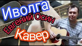 Евгений Осин Иволга кавер под гитару