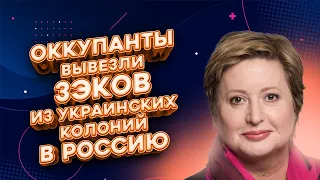 «Русь сидящая»: новая армия зэков, вербовка в тюрьмах Африки, памятники зэкам в РФ | FREEДОМ