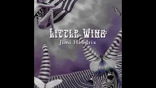 Jimi Hendrix - Little Wing (AI Stable Diffusion animation)🦓🦋💜