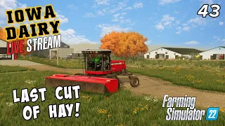 🔴 Cutting hay in November?! Last job before winter! - IOWA DAIRY UMRV EP43 - FS22